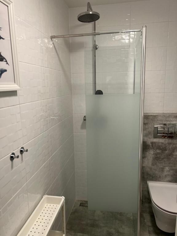 a bathroom with a shower and a toilet and a sink at Apartament Ad Astra in Dziwnów
