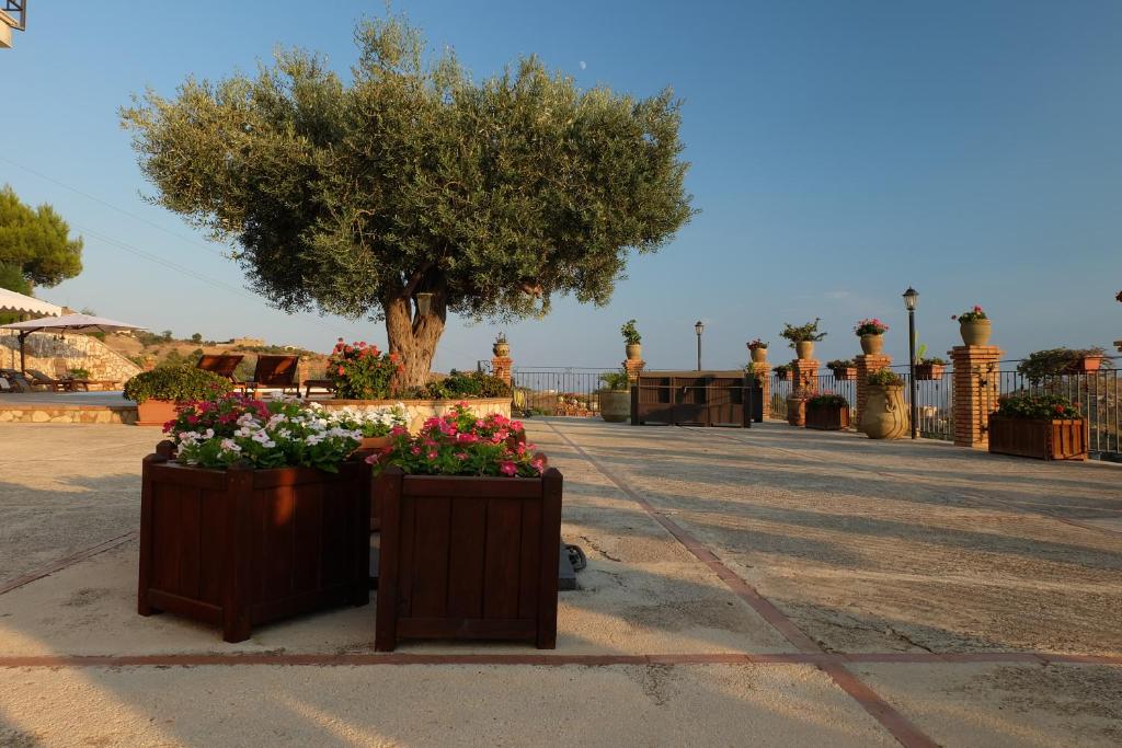 B&B A Robba de Pupi - 14