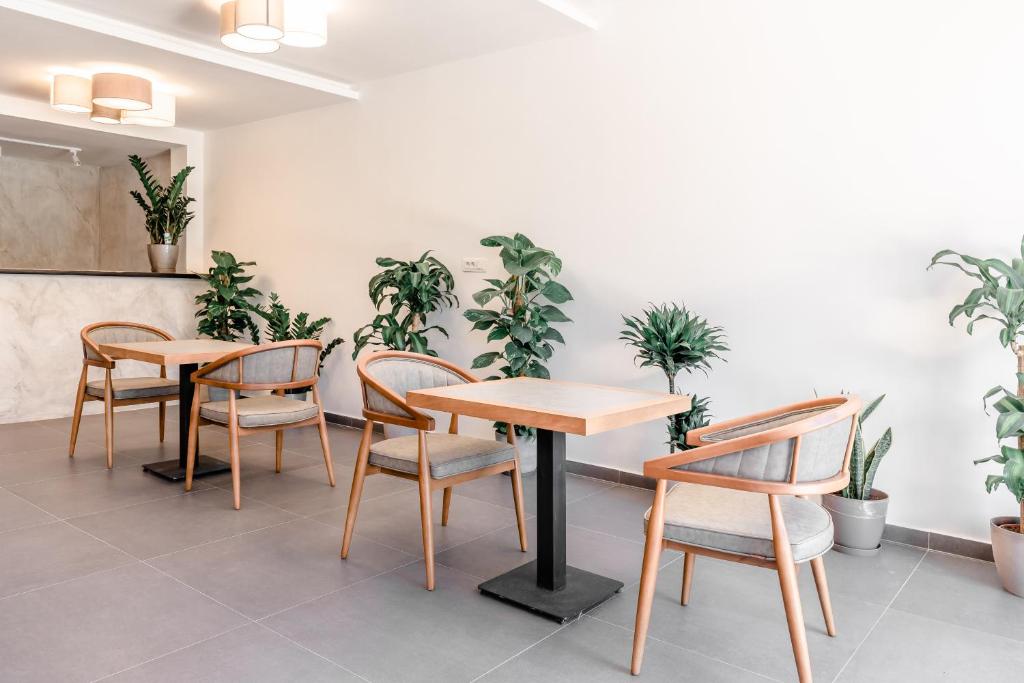 Fotografie z fotogalerie ubytování Hotel Olea v destinaci Ulcinj
