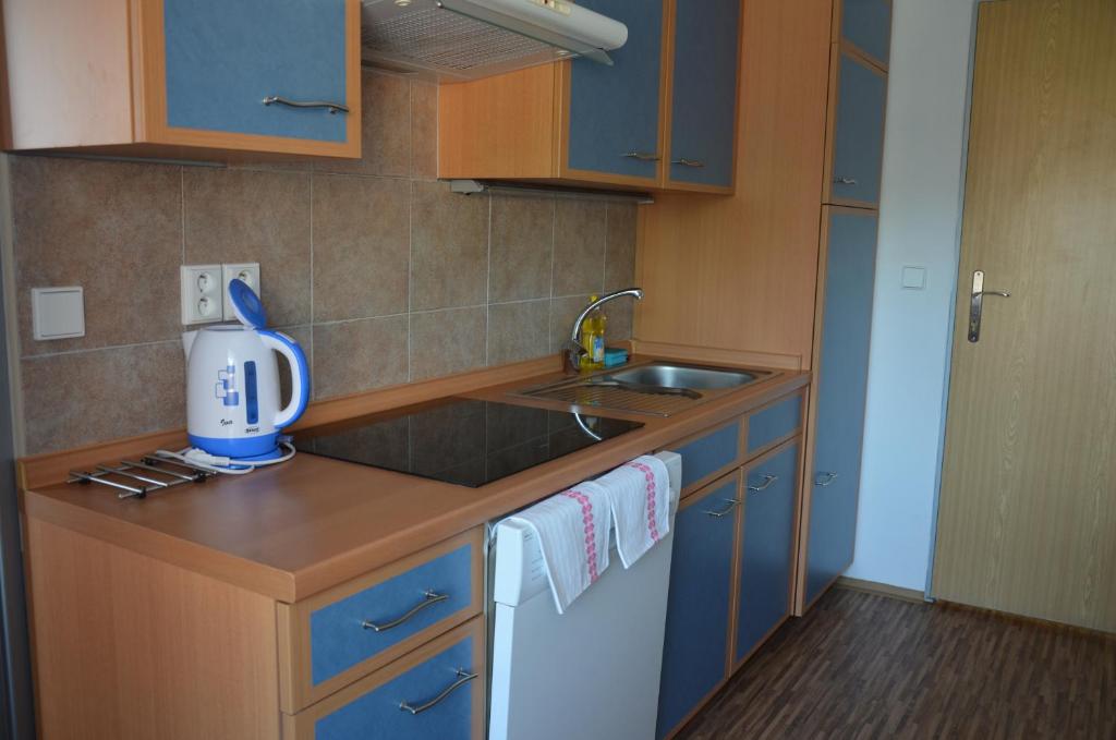 Kuchyň nebo kuchyňský kout v ubytování Studia a apartmány U Karla