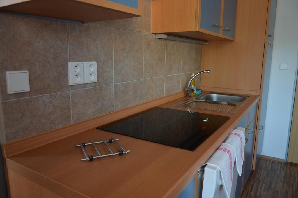 Kuchyň nebo kuchyňský kout v ubytování Studia a apartmány U Karla
