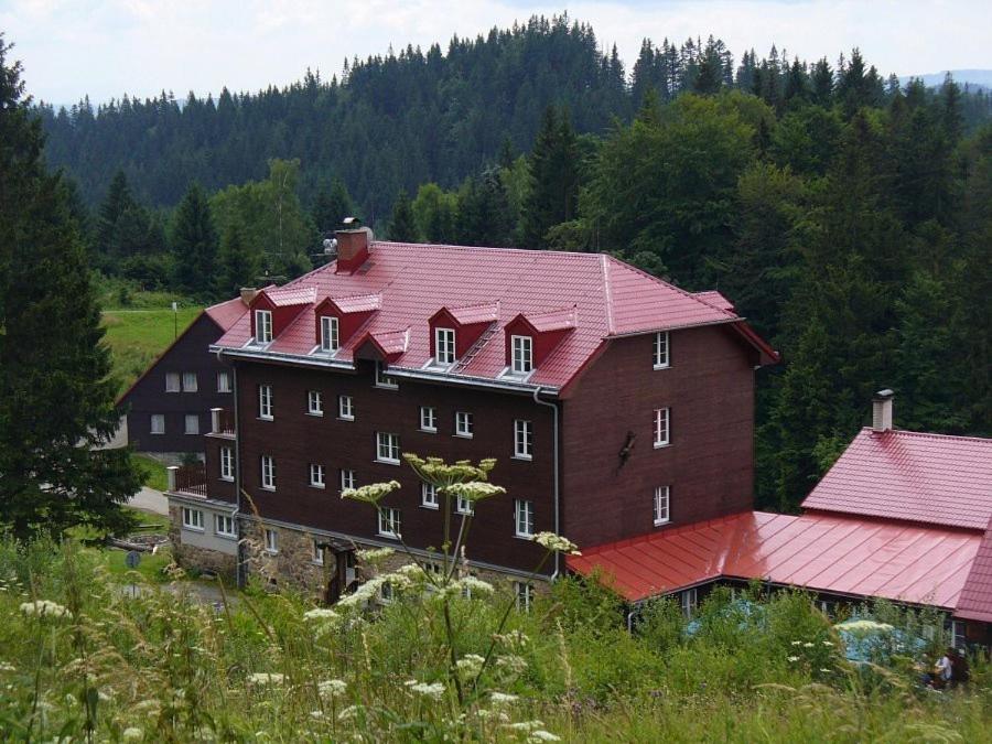 Příroda nedaleko apartmánu