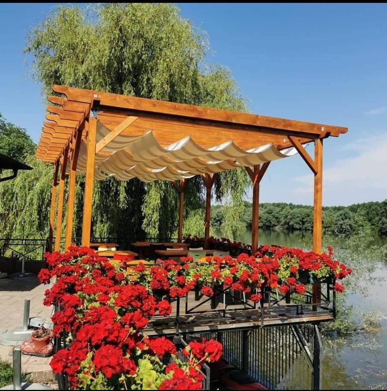 Jardín al aire libre en Vila Odmor na Dunavu