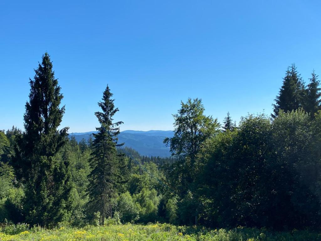 Příroda nedaleko apartmánu