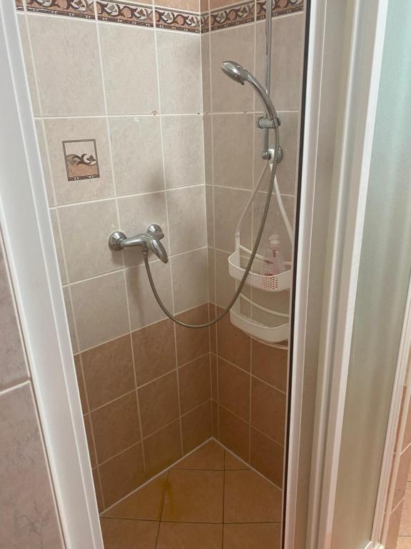 Koupelna v ubytování Apartmán Meluzína