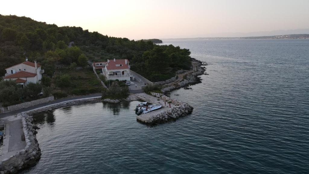 an island in the middle of a body of water at Goga in Ždrelac