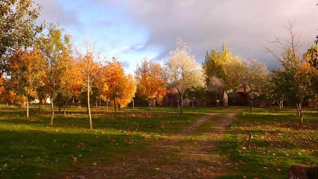Zahrada ubytování Camping Aín Jaca
