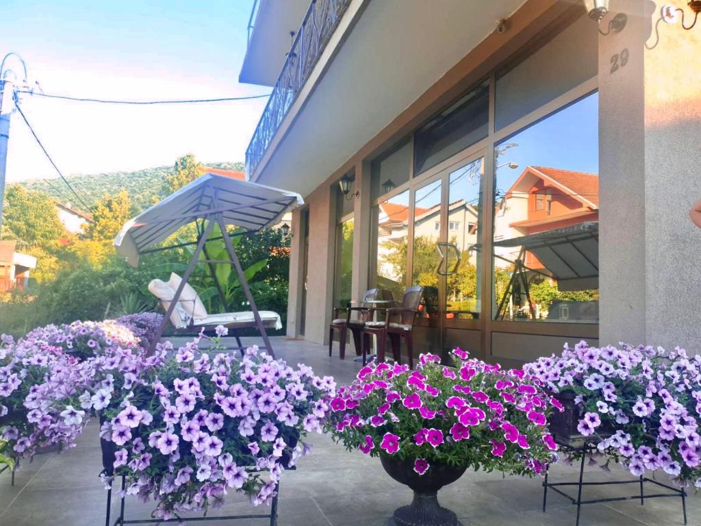 Vonkajšia záhrada v ubytovaní Guest House Dimitrije
