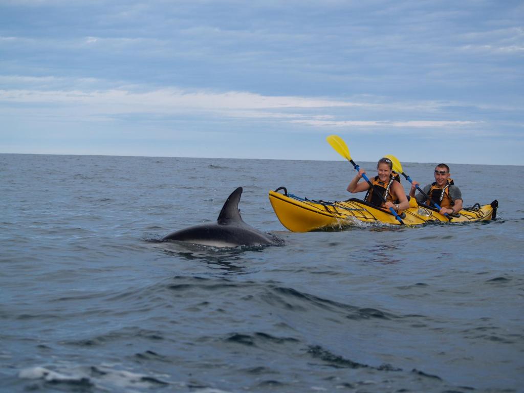 Alpine-Pacific Holiday Park - Resim 43