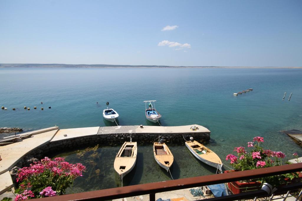 Fotografia z galérie ubytovania Apartments by the sea Ladjin Porat, Paklenica - 6631 v destinácii Starigrad-Paklenica