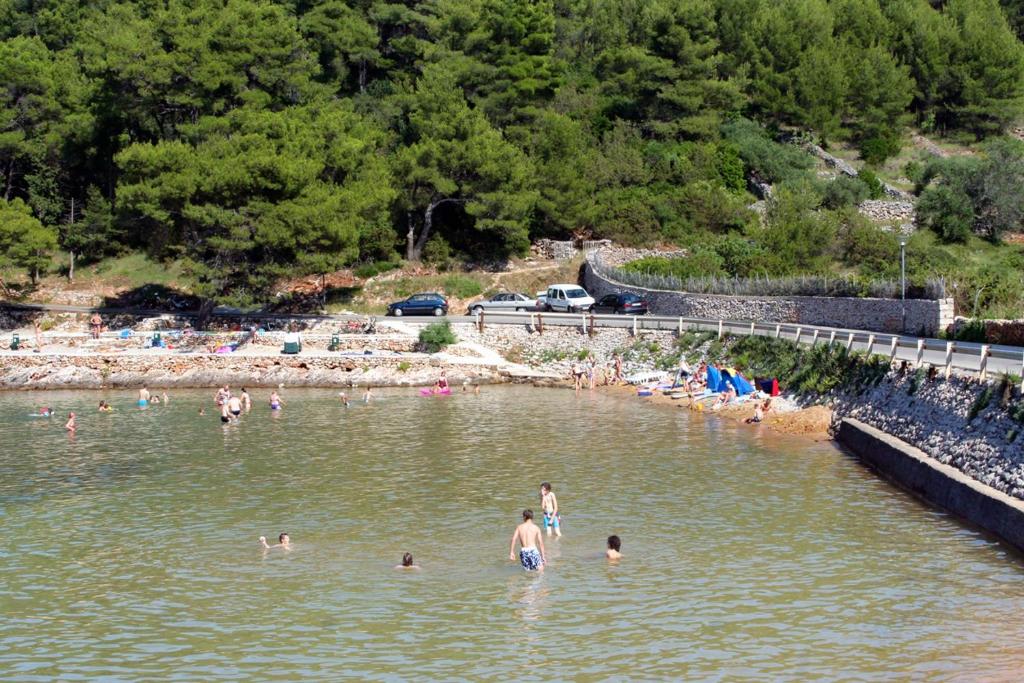 Příroda nedaleko apartmánu