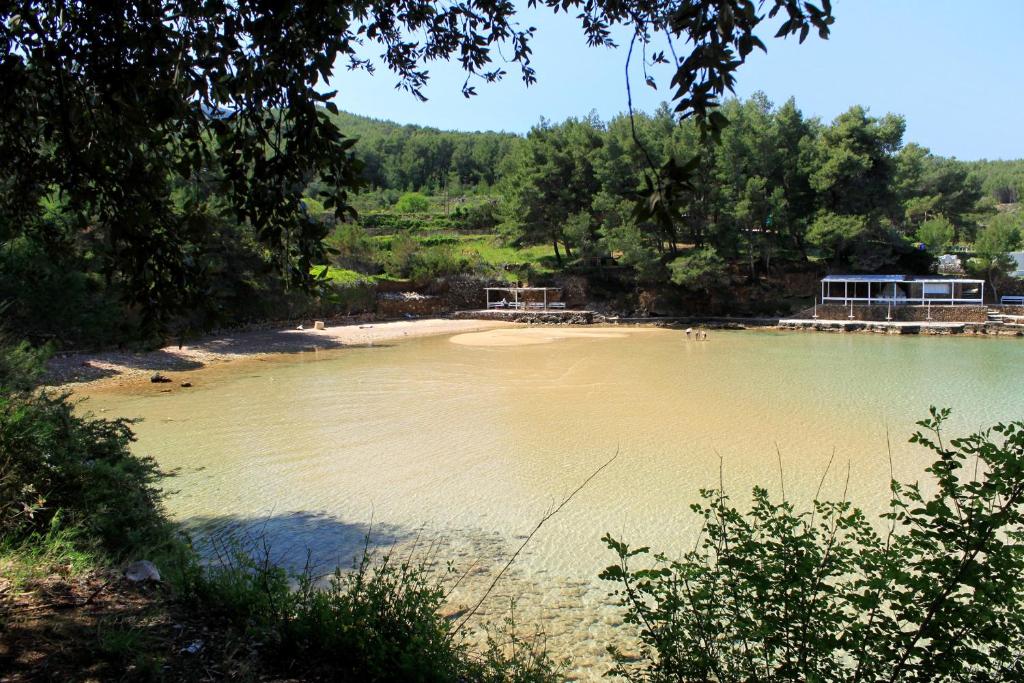 Príroda v okolí apartmánu
