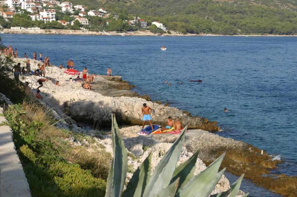 Príroda v okolí apartmánu