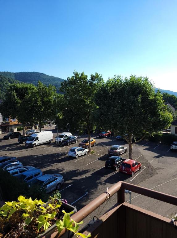 Appartement Au Cigogneau Wifi-Balcon-Parking – photo 15
