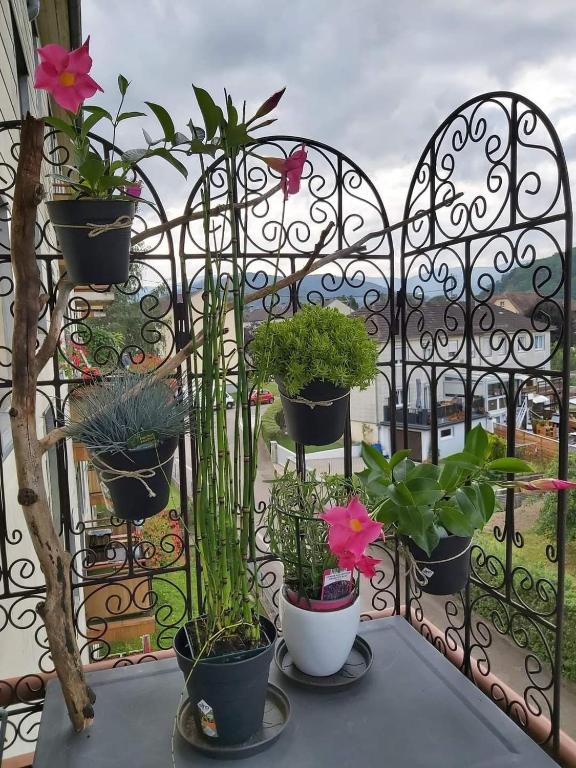 Appartement Au Cigogneau Wifi-Balcon-Parking – photo 14