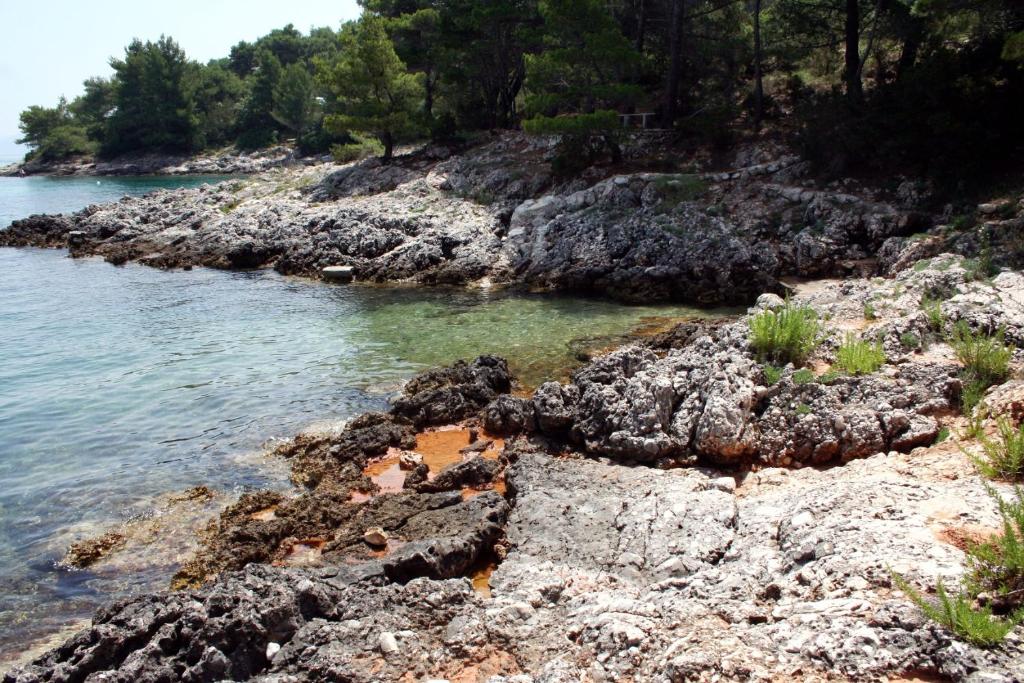 Fotografia z galérie ubytovania Family friendly apartments with a swimming pool Jelsa, Hvar - 4608 v destinácii Jelsa