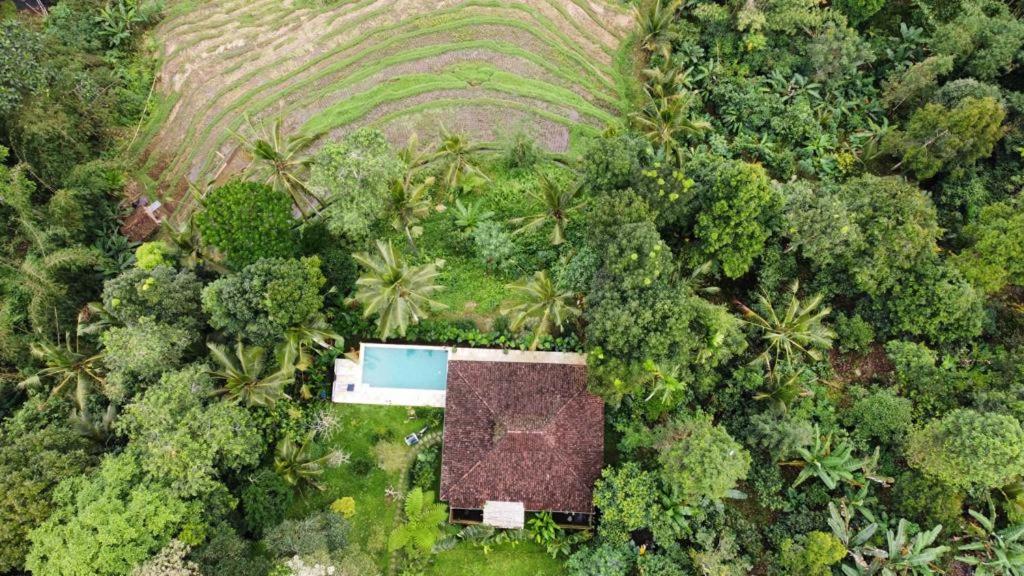 Příroda nedaleko vily