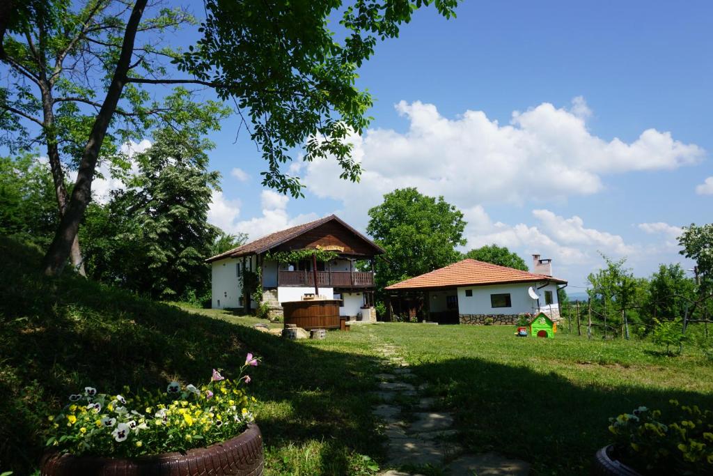 una casa en una colina con un patio de hierba en Къща за гости "Касапите" en Kameshtitsa