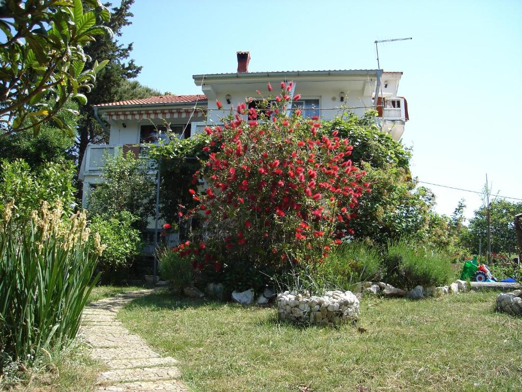 a house with a bush with red flowers in front of it at Apartment Kampor 5014b in Kampor
