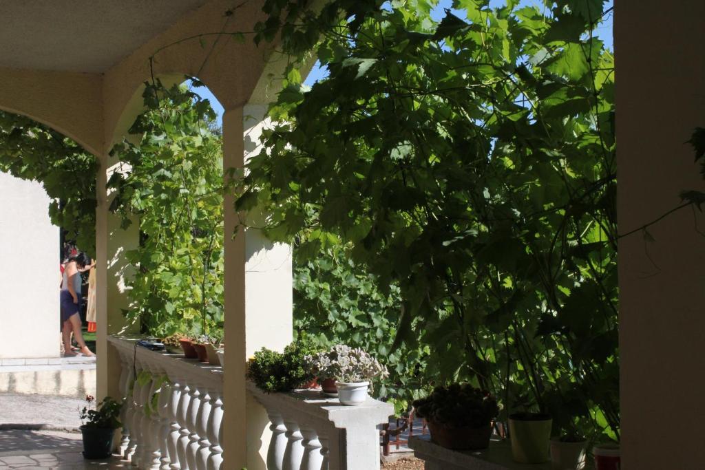 Fotografia z galérie ubytovania Apartment Makarska 6792c v destinácii Makarska