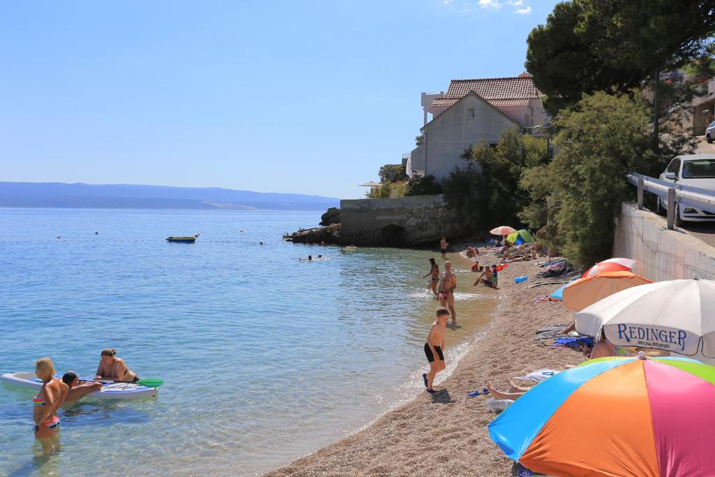 Príroda v okolí apartmánu