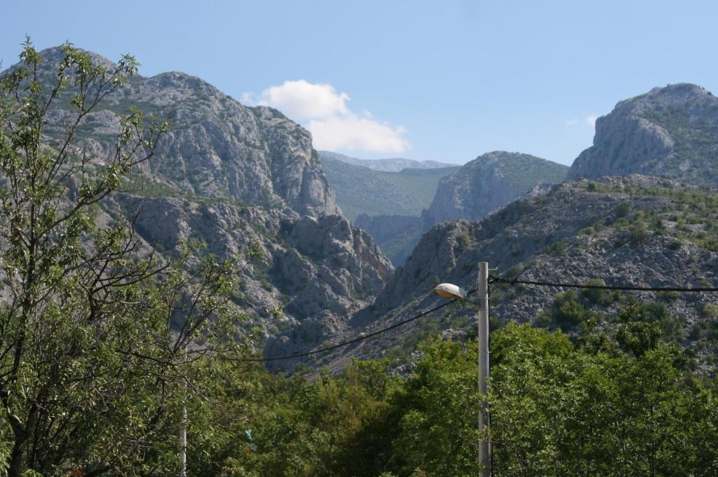 Príroda v okolí apartmánu