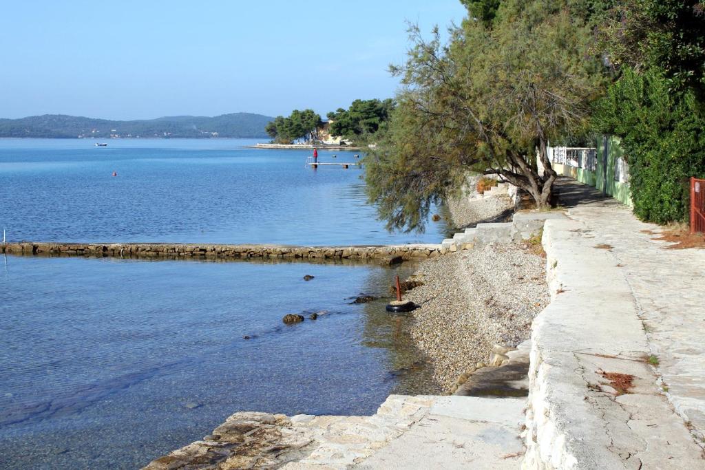 a beach with a tree and a body of water at Studio Sukosan 14681c in Sukošan