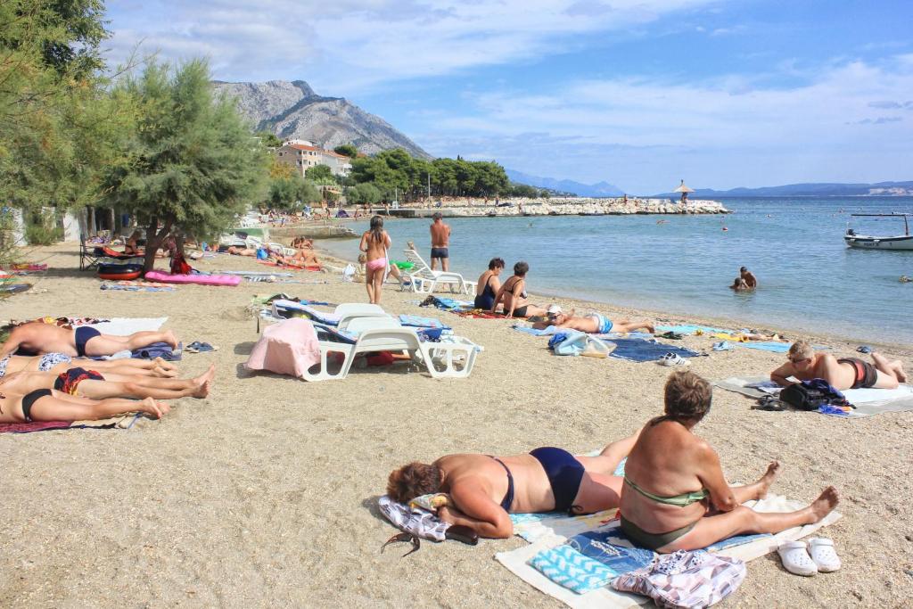 Príroda v okolí apartmánu