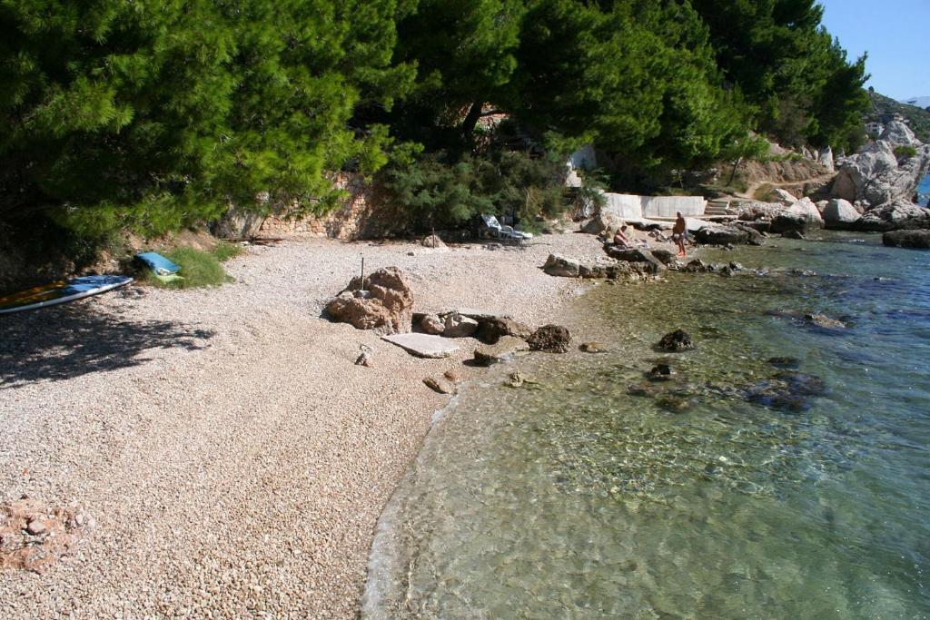 Príroda v okolí apartmánu