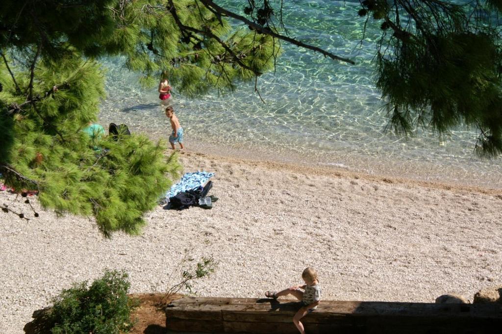 Príroda v okolí apartmánu