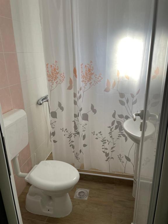 Koupelna v ubytování Prenociste "Pače 027" Accommodation "Pace 027"