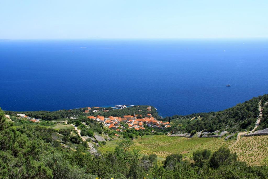 Fotografie z fotogalerie ubytování Apartments by the sea Sveta Nedilja, Hvar - 13176 v destinaci Jelsa