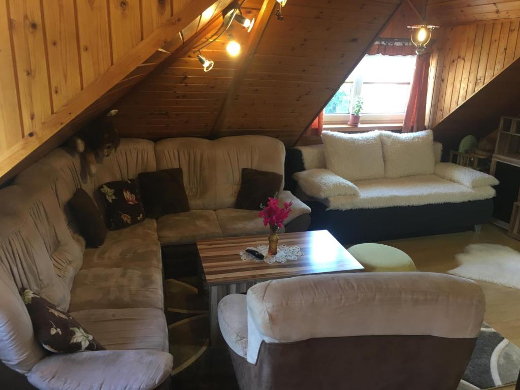 uma sala de estar com um sofá e uma mesa em Apartment U Malše 12 em České Budějovice