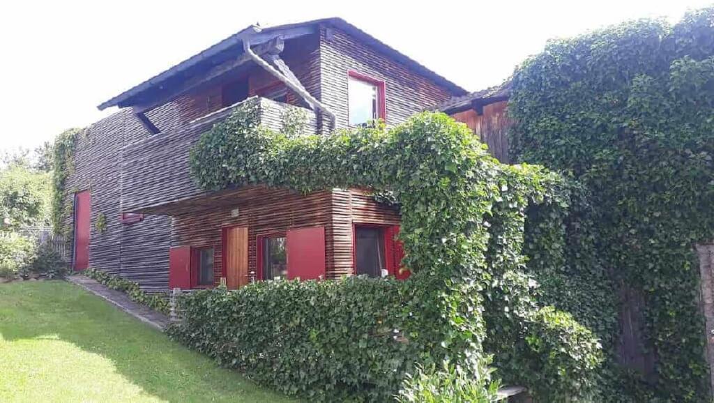 dom z bluszczem rosnącym po jego stronie w obiekcie Ferienhaus am Eichert w mieście Furth im Wald