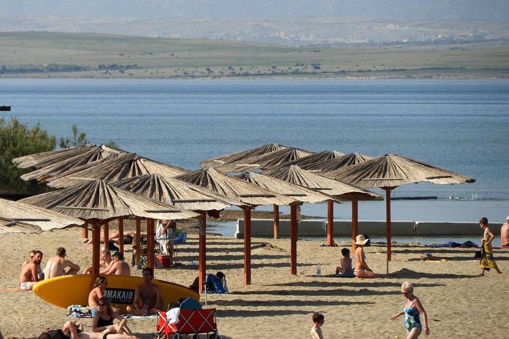 Príroda v okolí apartmánu