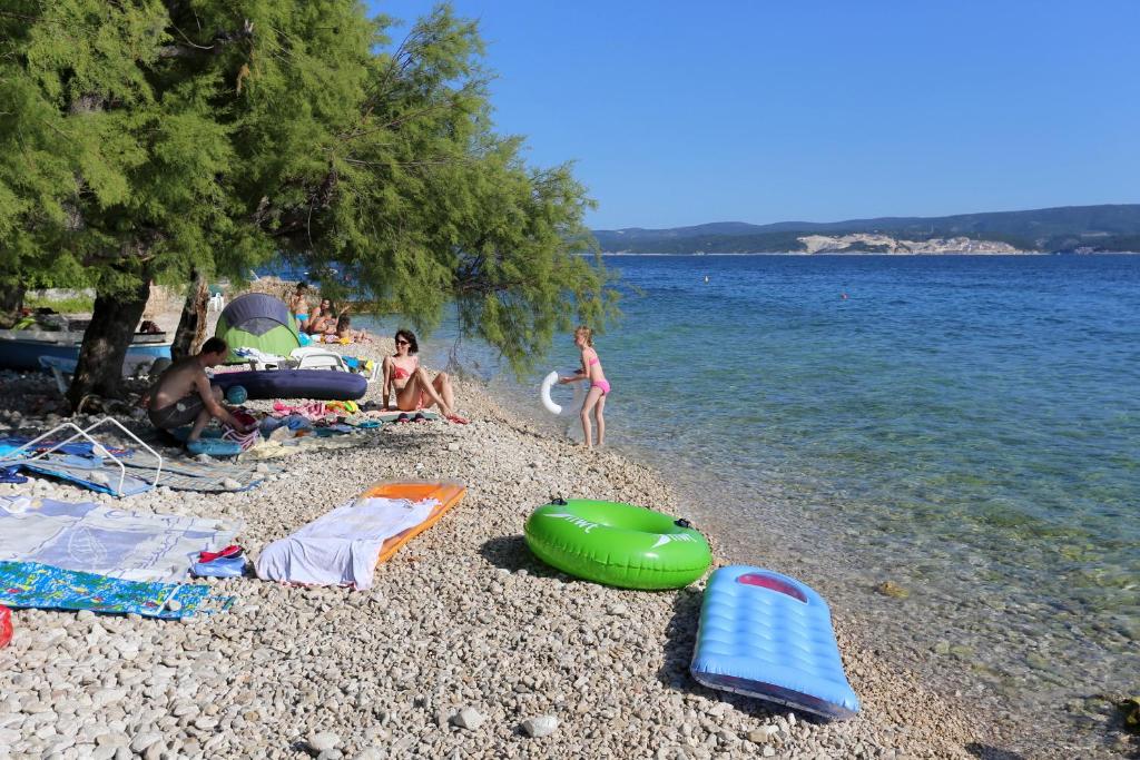 Príroda v okolí apartmánu