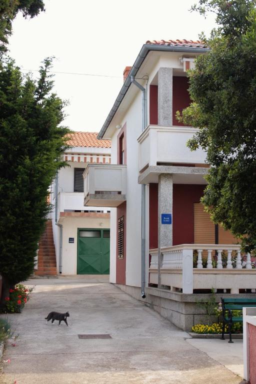 a black cat walking in front of a building at Apartments by the sea Barbat, Rab - 4993 in Barbat na Rabu