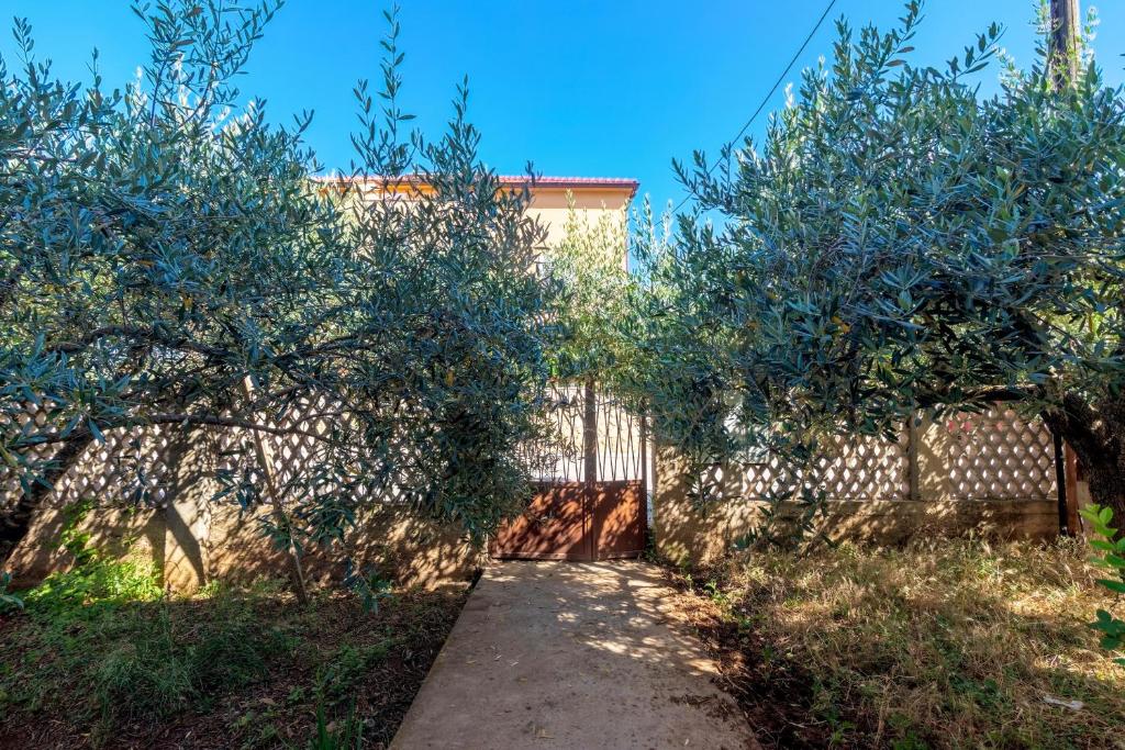 Zahrada ubytování Apartments and rooms with parking space Jelsa, Hvar - 4028