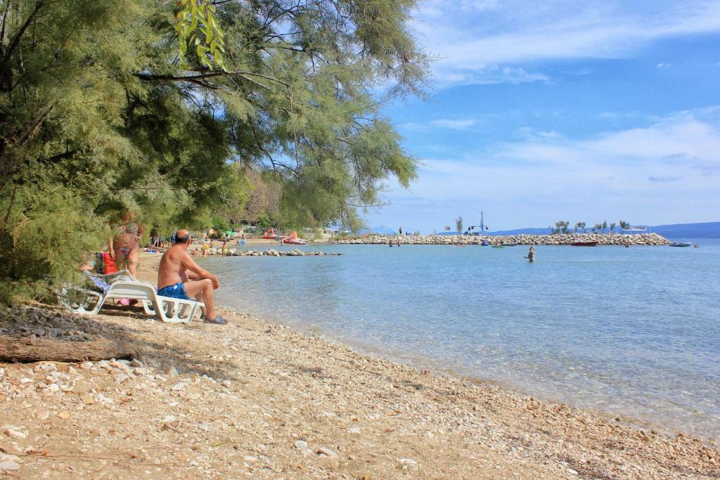 Príroda v okolí apartmánu