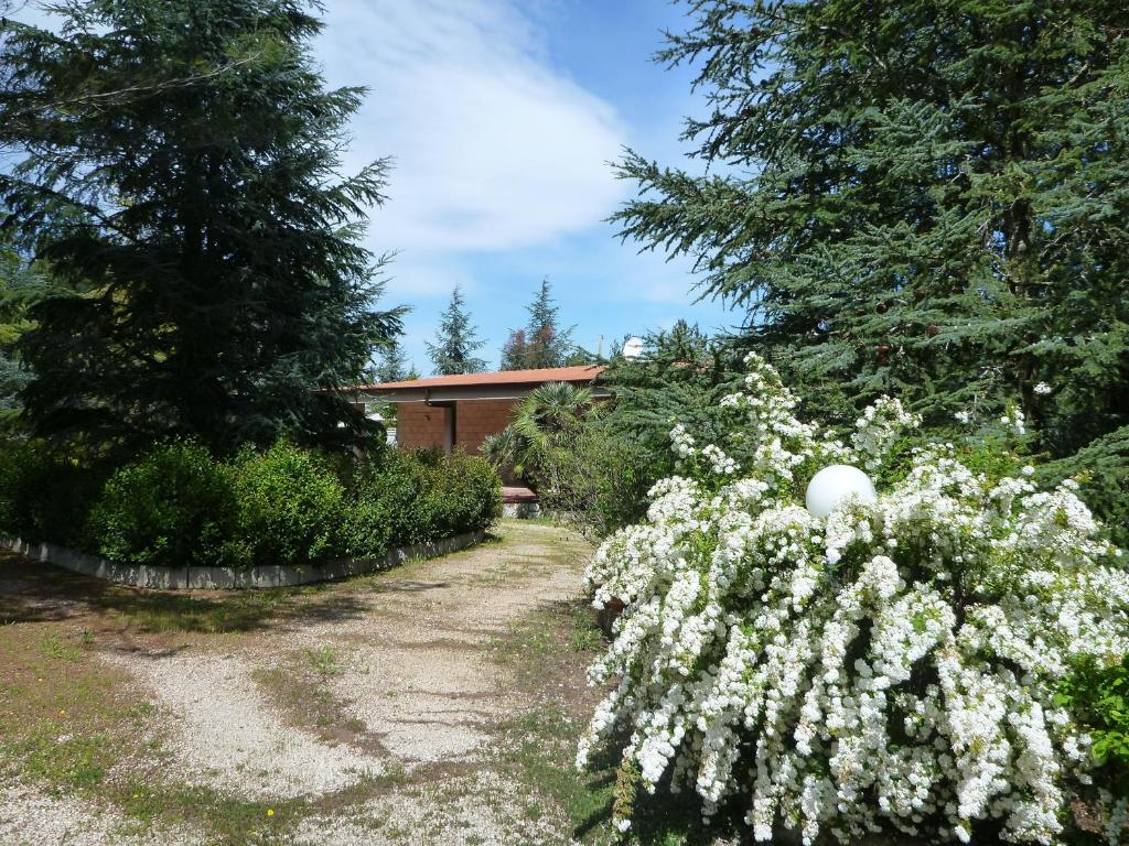 een tuin met witte bloemen en bomen en een gebouw bij Chez-Antoinette in Castel del Monte