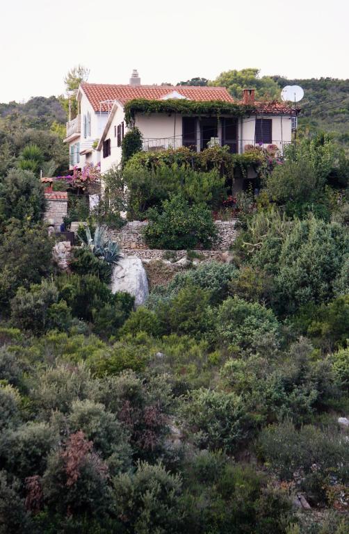 Příroda nedaleko apartmánu