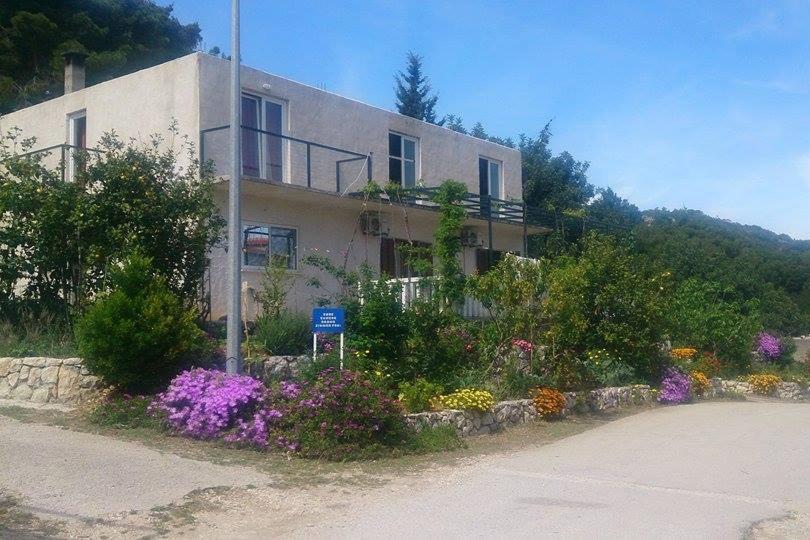 Zahrada ubytování Apartments and rooms by the sea Cove Saplunara, Mljet - 4907