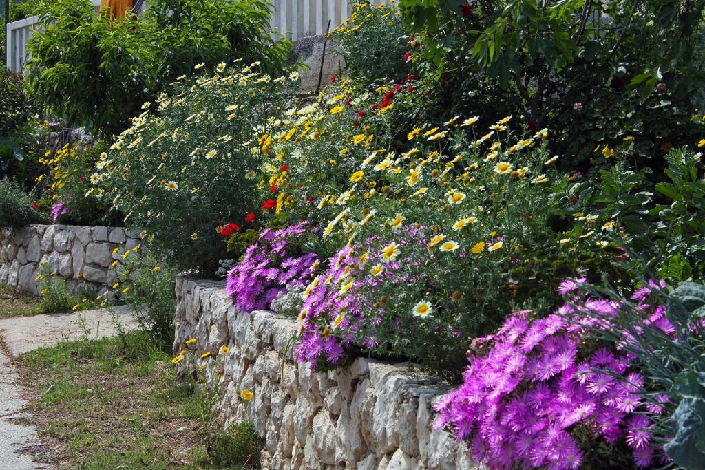 Zahrada ubytování Apartments and rooms by the sea Cove Saplunara, Mljet - 4907