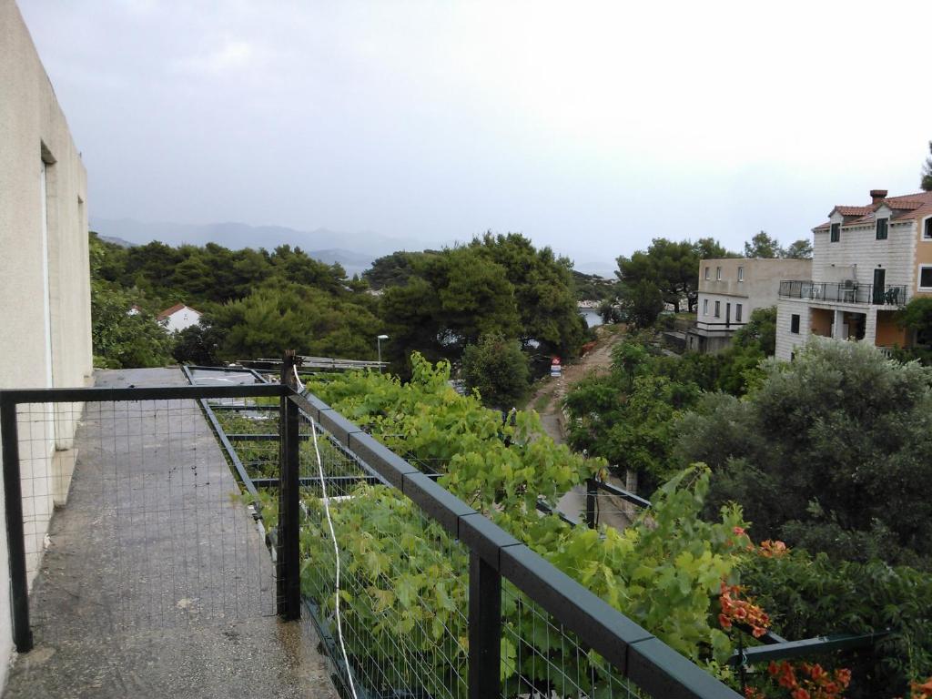 Zahrada ubytování Apartments and rooms by the sea Cove Saplunara, Mljet - 4907
