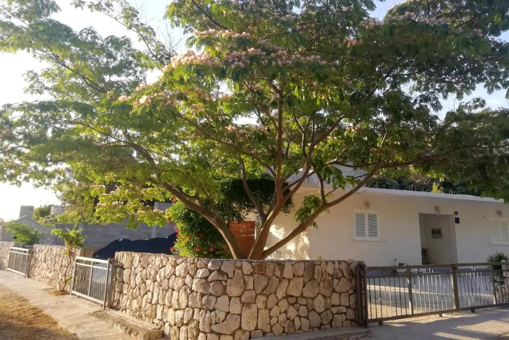 a tree in a stone wall in front of a house at Apartments by the sea Cove Saplunara, Mljet - 4896 in Maranovići