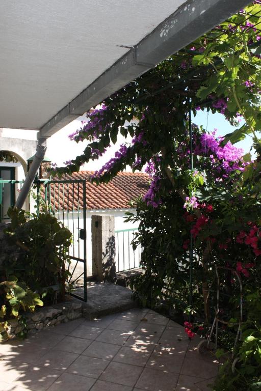 Vonkajšia záhrada v ubytovaní Apartments by the sea Podgora, Makarska - 6788