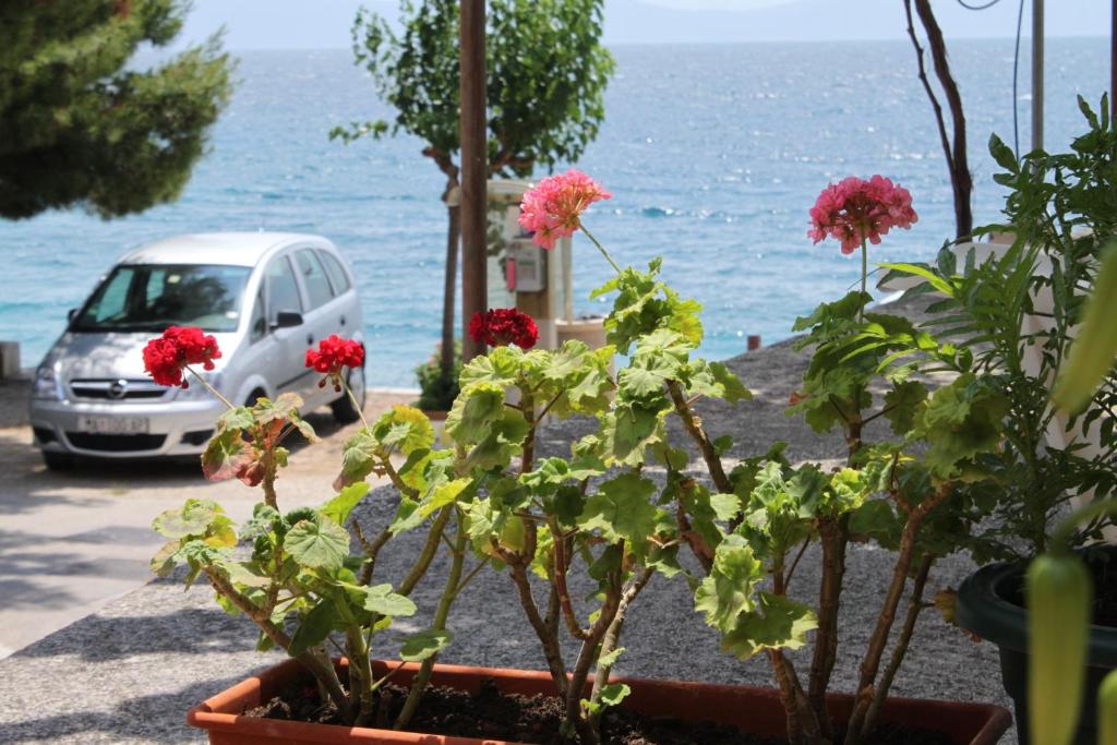 Príroda v okolí apartmánu