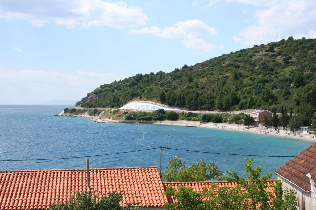Příroda nedaleko apartmánu