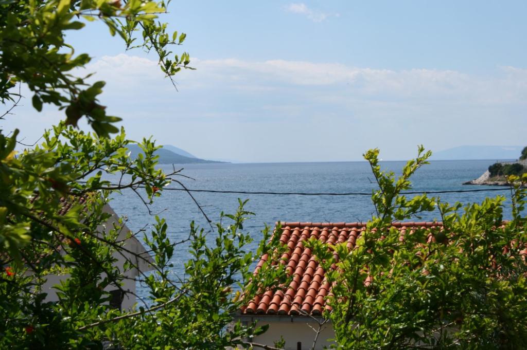 Příroda nedaleko apartmánu