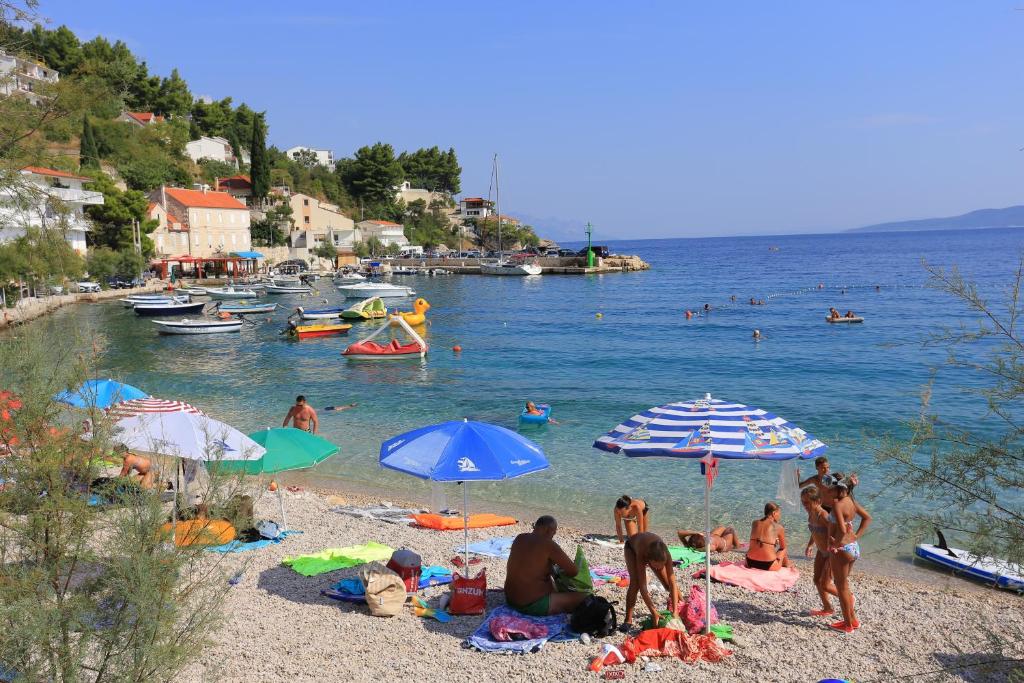 Príroda v okolí apartmánu